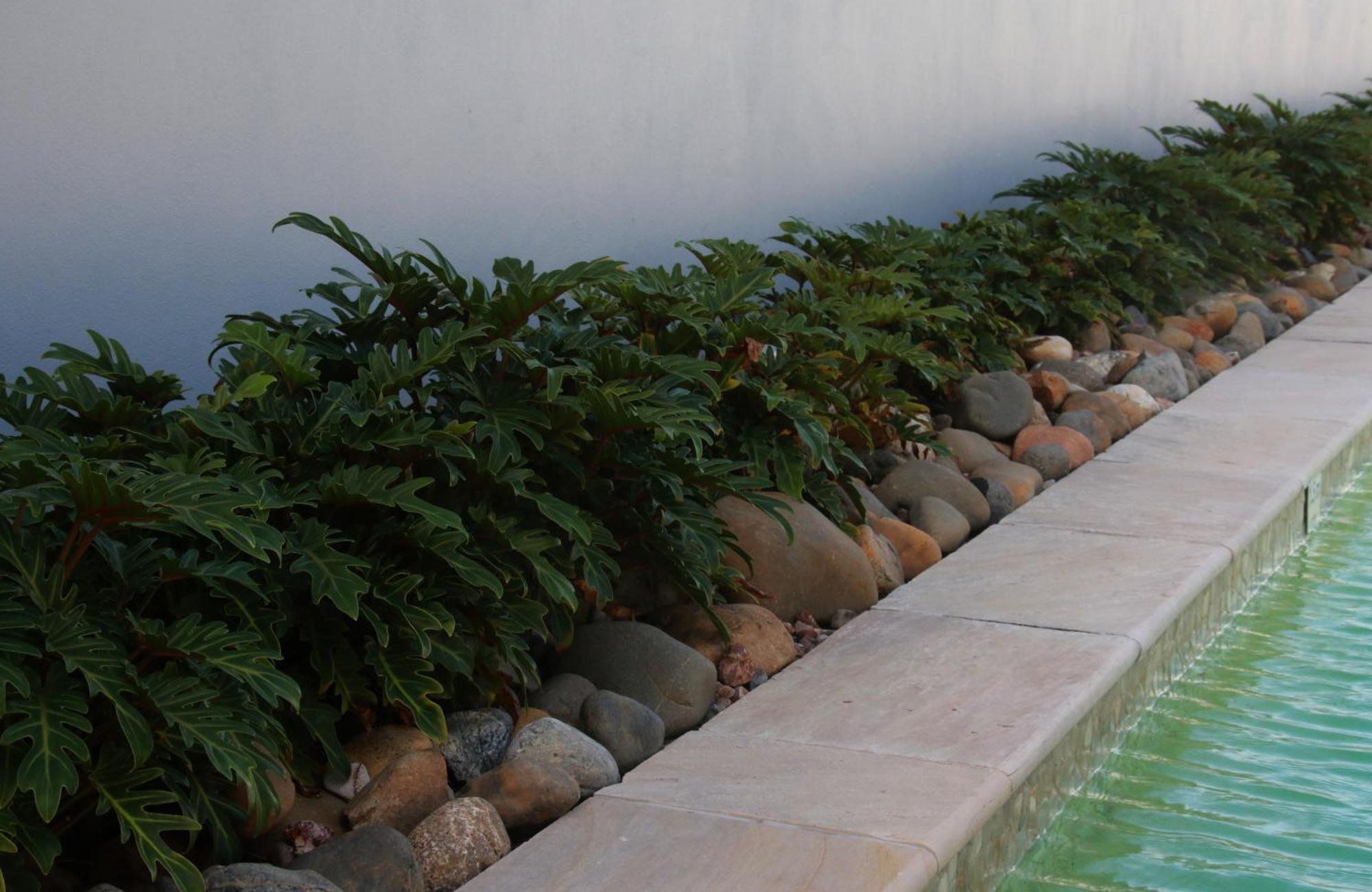 לנוקס הד Lennox Holiday Apartments מראה חיצוני תמונה