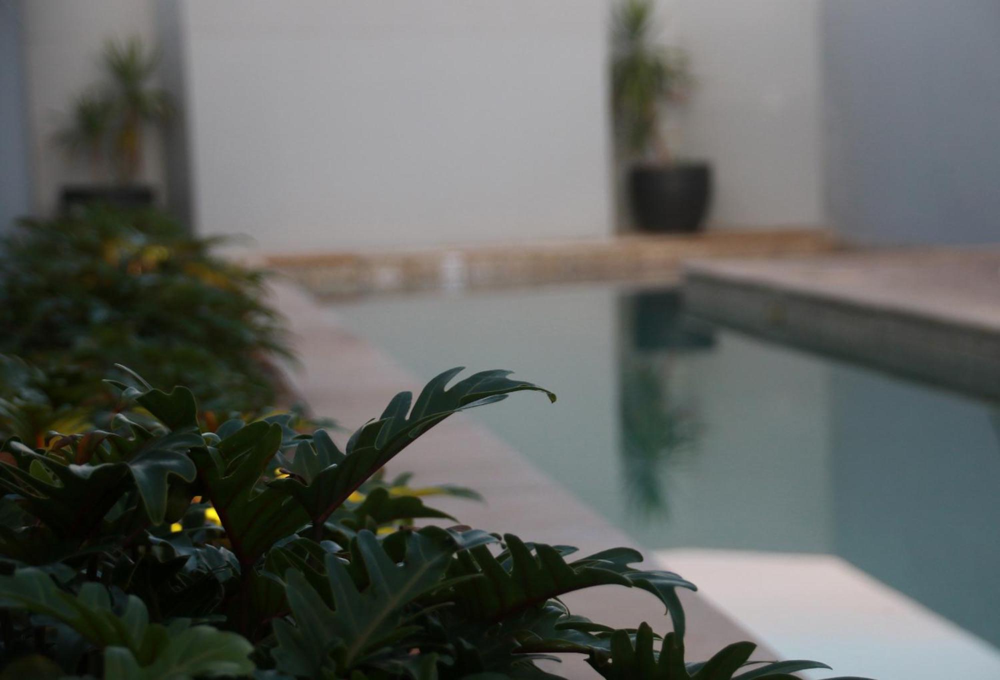 לנוקס הד Lennox Holiday Apartments מראה חיצוני תמונה